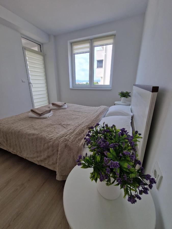 San Casa Apartment Sebeş Екстериор снимка